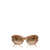 Ray-Ban Ray-Ban Sunglasses STRIPED BROWN