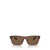 Ray-Ban Ray-Ban Sunglasses Brown