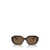 Vogue Eyewear Vogue Eyewear Sunglasses Brown