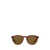 Ralph Lauren Polo Ralph Lauren Sunglasses SHINY JERRY HAVANA