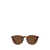 Ralph Lauren Polo Ralph Lauren Sunglasses SHINY ANTIQUE HAVANA