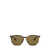 Ray-Ban Ray-Ban Sunglasses Brown