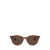 Ray-Ban Ray-Ban Sunglasses STRIPED RED HAVANA