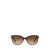 Burberry Burberry Sunglasses Brown