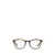 Giorgio Armani Giorgio Armani Eyeglasses Brown