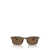 Emporio Armani Emporio Armani Sunglasses MATTE BROWN