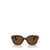 Persol Persol Sunglasses Brown