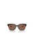 Vogue Eyewear Vogue Eyewear Sunglasses HAVANA / TRANSPARENT BROWN GLITTER