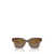 Vogue Eyewear Vogue Eyewear Sunglasses BROWN / TRANSPARENT ROSE GLITTER