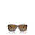 Vogue Eyewear Vogue Eyewear Sunglasses TOP DARK HAVANA / LIGHT BROWN