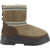 UGG Mini Trailgazer Boots HICKORY