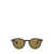 Ray-Ban Ray-Ban Sunglasses Brown