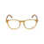 WEB EYEWEAR Web Eyewear Eyeglasses MULTICOLOR