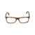 WEB EYEWEAR Web Eyewear Eyeglasses MULTICOLOR